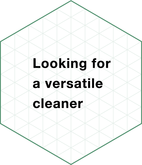 Looking for a versatile cleaner
